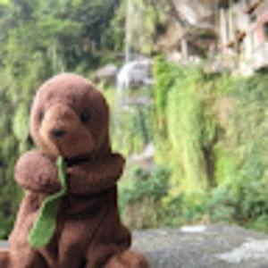 Meet your Posher, Jonathan